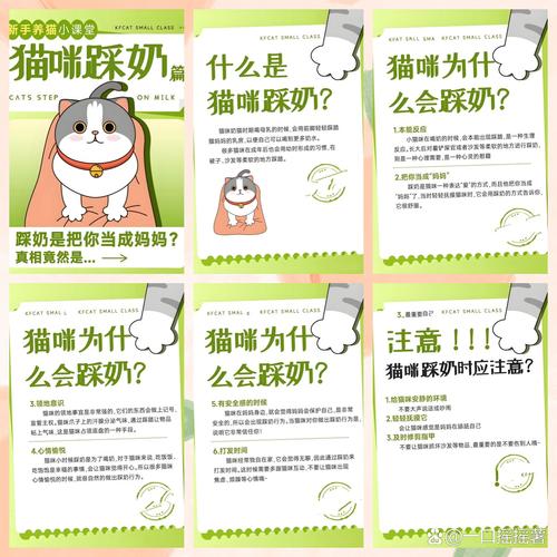 猫咪为什么会出现踩奶的行为?猫咪踩奶是在表达些什么?