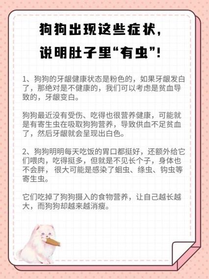 狗狗出现这些症状,说明肚子里“有虫”!