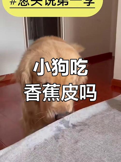 狗可以吃香蕉皮吗