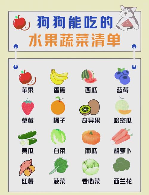 狗狗可以长期吃的蔬菜