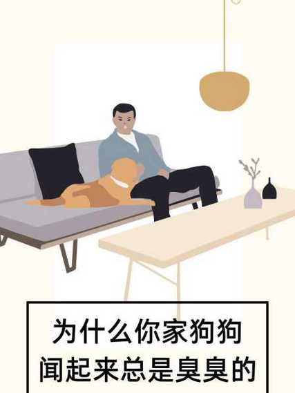 怎样去除狗狗身上的味道