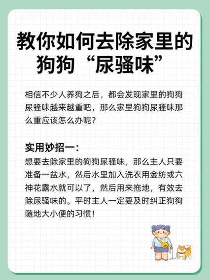 教你如何去除家里的狗狗“尿骚味”