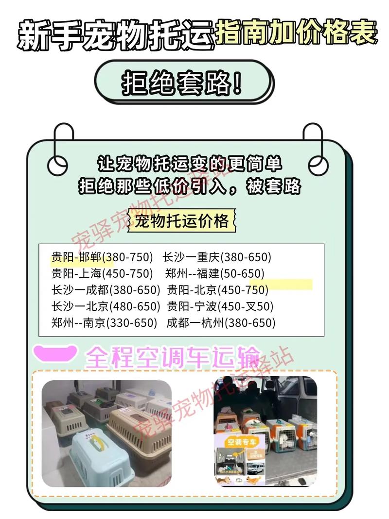 狗狗顺丰快递多少钱