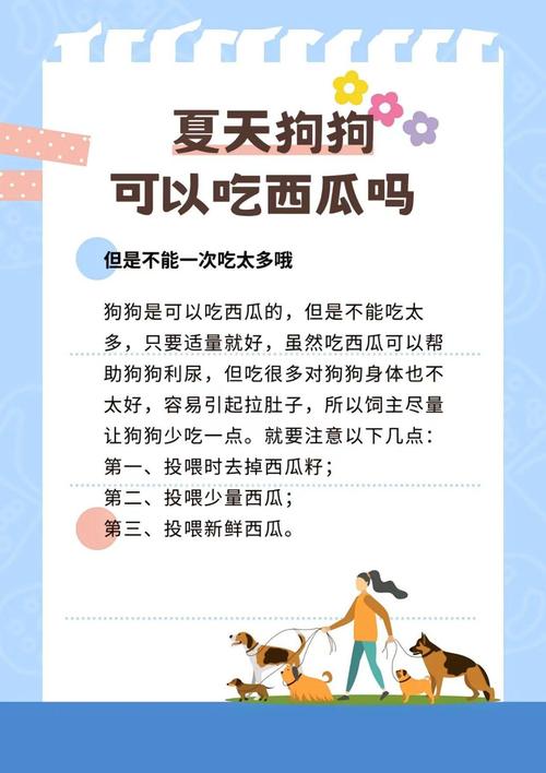 福利狗狗能吃西瓜吗?