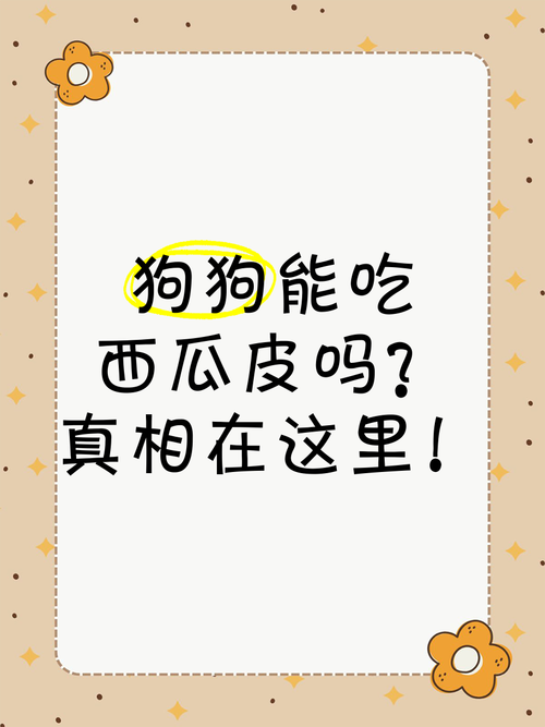狗狗可以吃西瓜皮不?