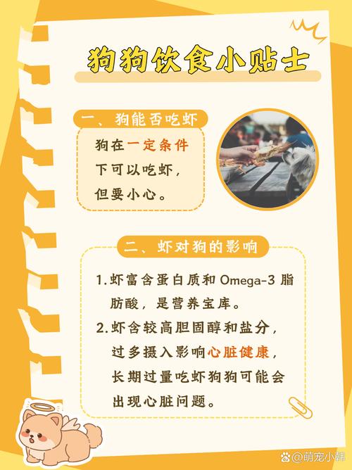 狗狗可以吃虾仁吗