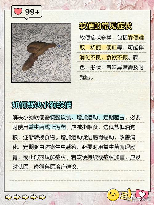 五个月的狗狗大便有点稀?