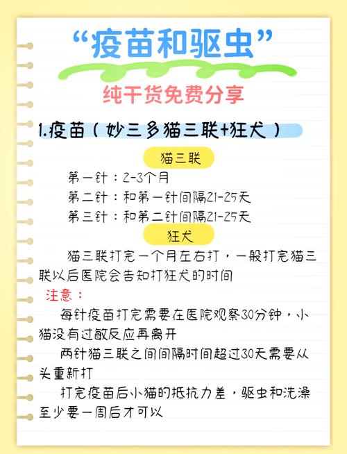 猫咪打疫苗前后要间隔多久?
