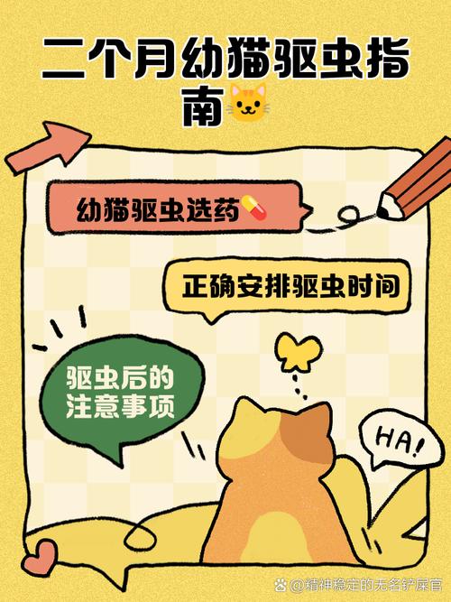 宠物驱虫药怎么使用