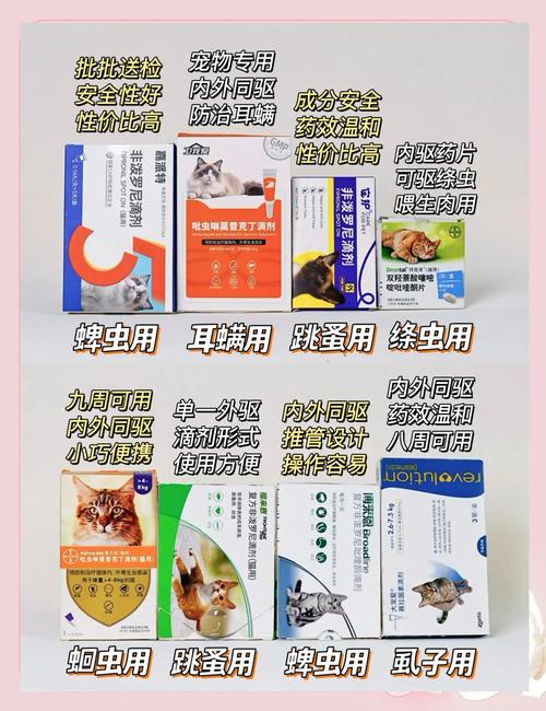 猫咪体外驱虫如何操作才是正确的?