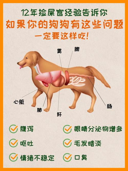 狗狗长期吃动物内脏有什么危害