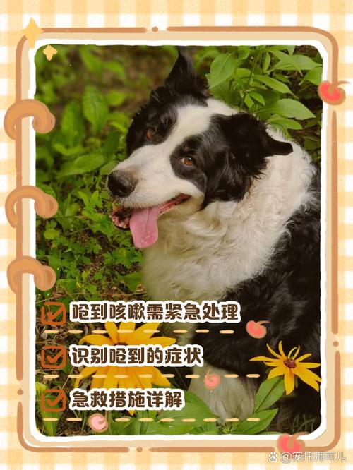 狗狗吃东西被呛到了怎么办,狗狗一直呛喉咙