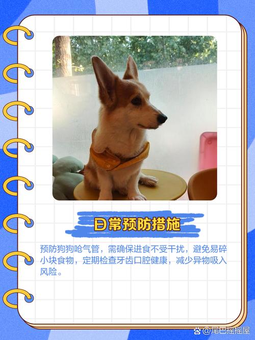 狗狗吃饭呛住了怎么办