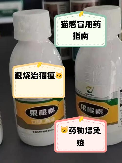 小猫发烧吃什么药?