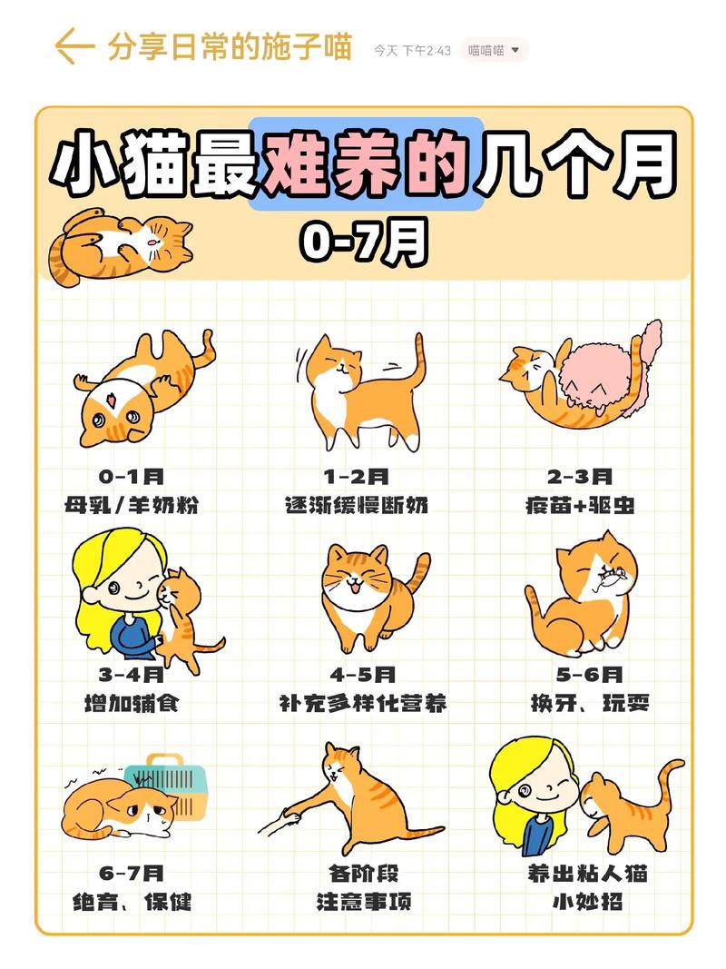 猫粮一次喂多少猫粮一天具体该喂多少啊