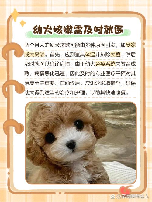 狗狗咳嗽半个月打针吃药都不好,但是精神和吃的都很好