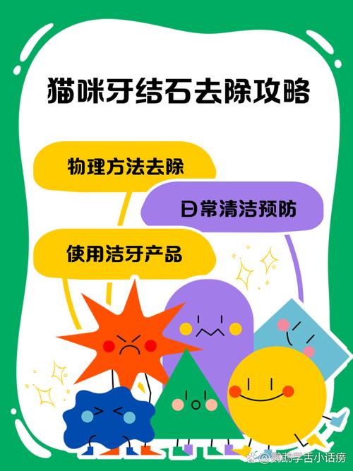 猫咪牙结石怎么清理,多少钱?