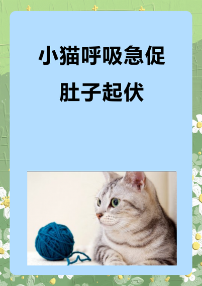 猫咪呼吸急促腹部起伏是为什么?