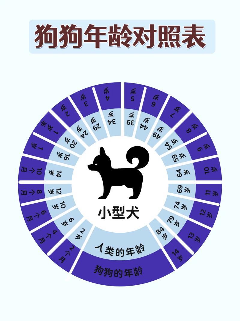 如何判断狗狗年龄