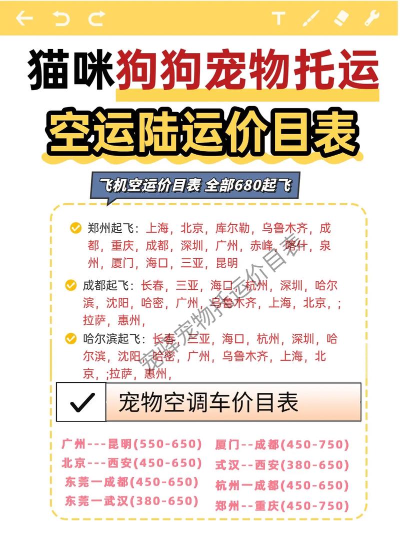 空运猫咪都需要什么手续