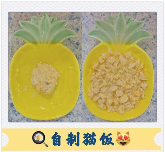 鸡胸肉做猫咪辅食的吃法有哪些可以分享?