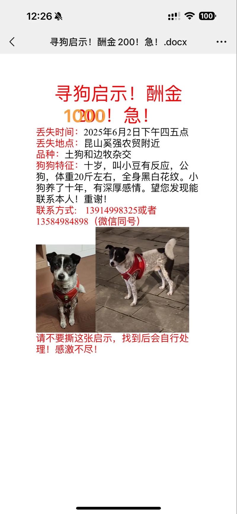 捡来的狗胆子小怕人怎么办