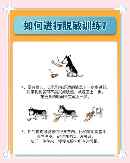 如何训练狗的胆子:如何治疗敏感胆小神经质的狗狗?