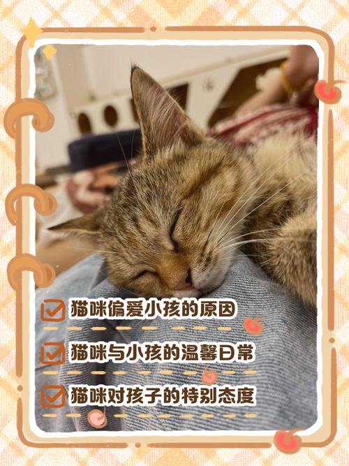 猫咪为什么会喜欢小孩呢