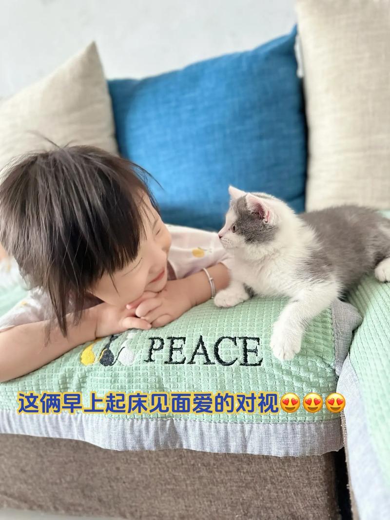 猫咪为什么比较喜欢小孩