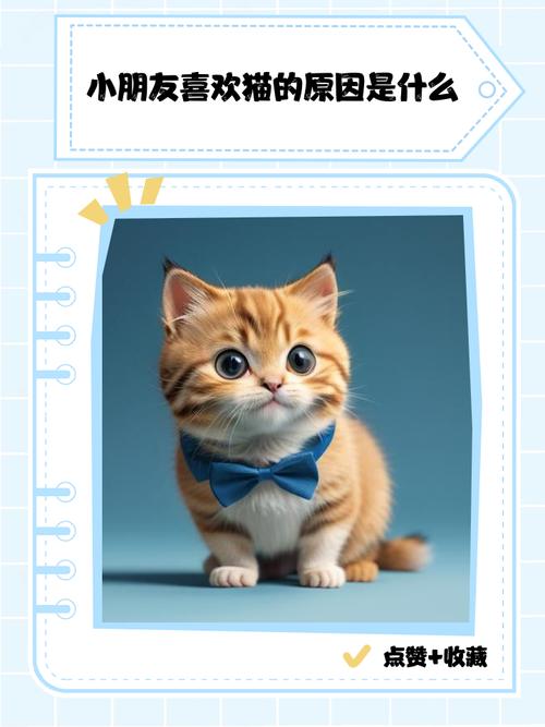 猫咪高冷为什么喜欢小孩