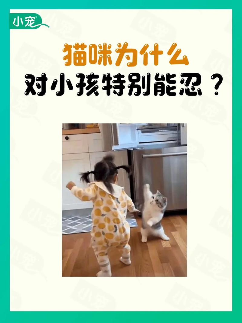 猫咪为什么和小孩玩耍