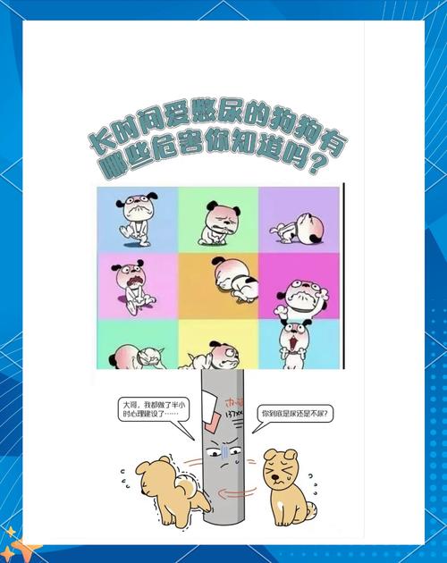 上班时间长,狗狗在家憋尿对身体可不好