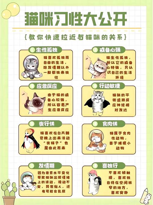 两个月大的小猫适合在什么样的环境温度下生存?该怎么照顾它?