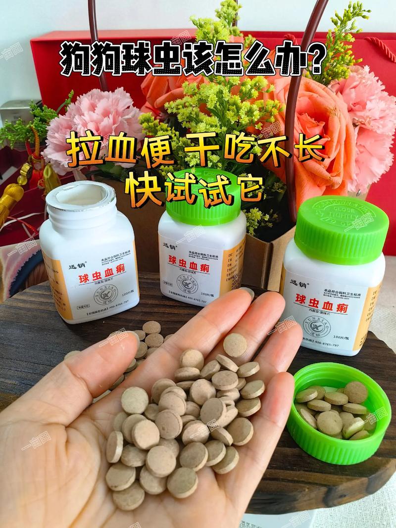 狗狗拉了一滩血水怎么治疗