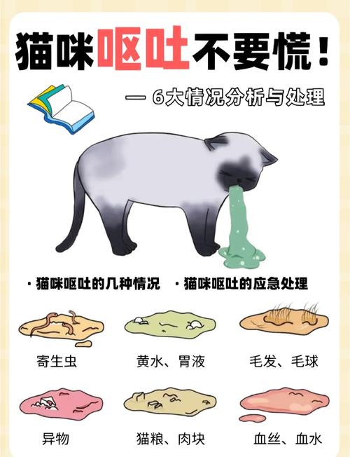 宠物猫吐出虫子怎么办