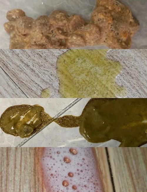 猫咪吐出来白色长虫子