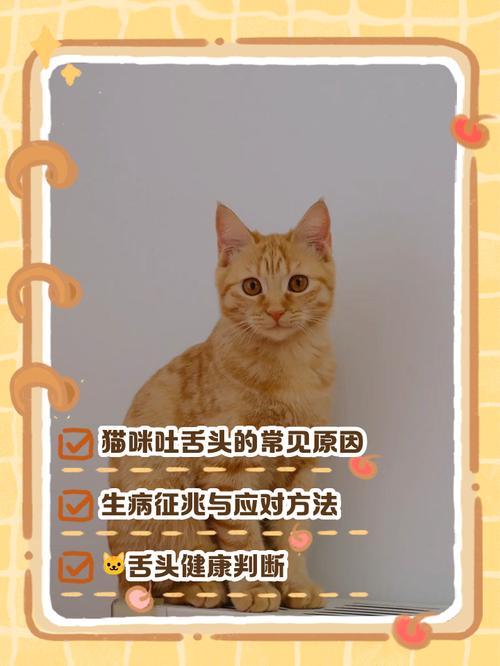 猫吐舌头是什么原因