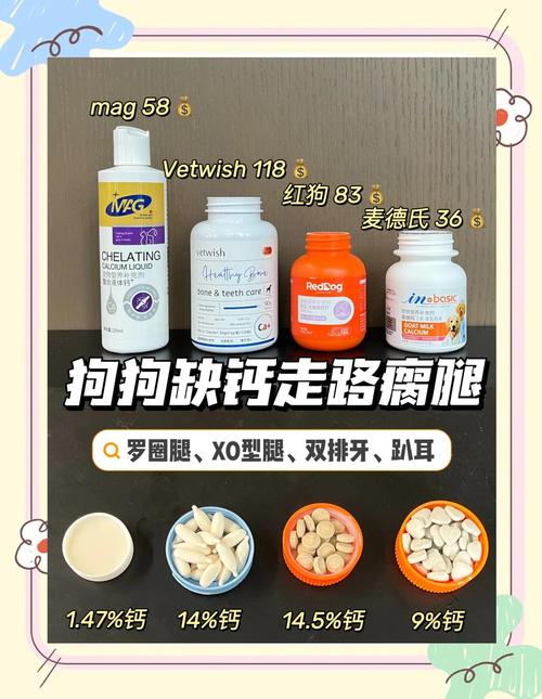 狗狗补钙吃什么好?