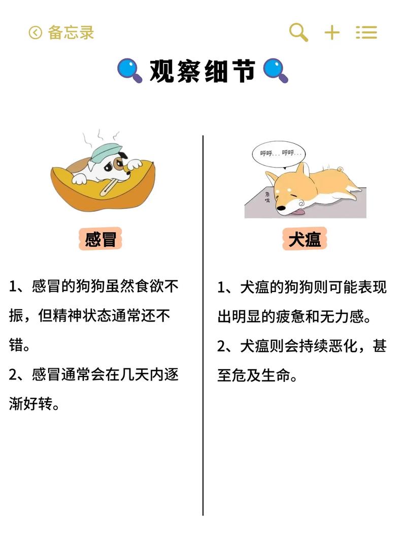 狗狗感冒是否会传染给人