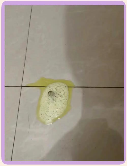 狗狗得细小呕吐频繁吗(狗狗细小呕吐物)