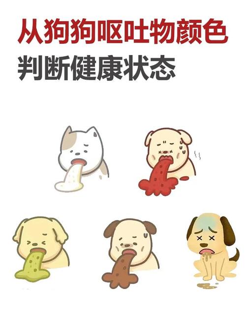 狗狗细小呕吐褐色黏液