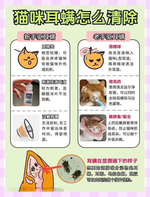 猫咪得了耳螨怎么办?十年养猫人总结的超详细教程来了