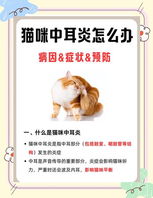 猫咪耳朵发炎了怎么办?