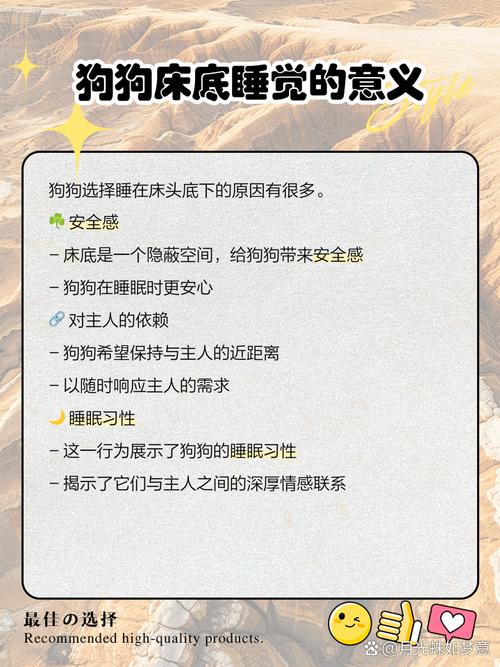 狗狗喜欢睡床底下是怎么回事