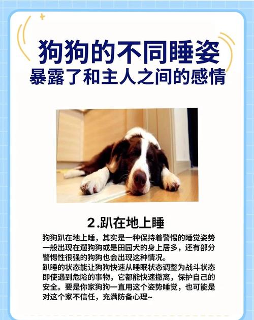 狗狗为什么喜欢睡在主人睡觉的床底下