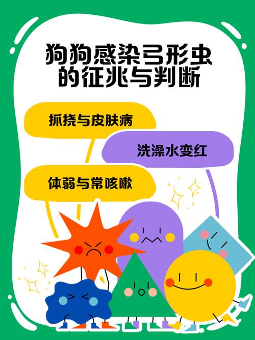 怀孕了不能养狗狗吗?狗狗会传染弓形虫吗?