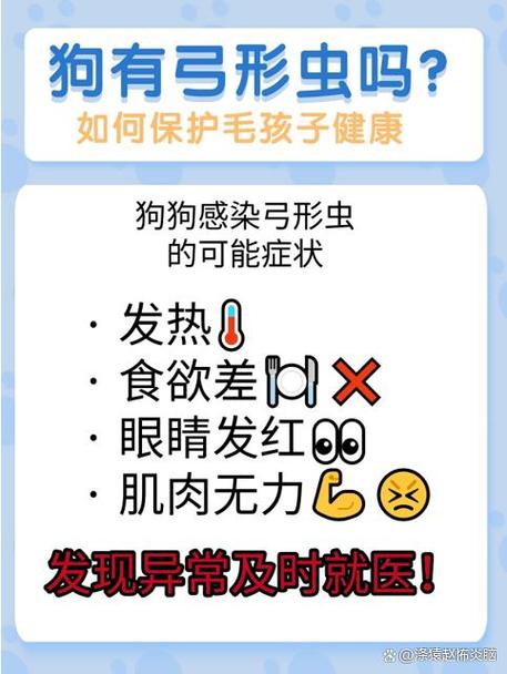 养狗会感染弓形虫吗