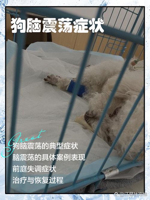 狗得脑炎死亡时的症状