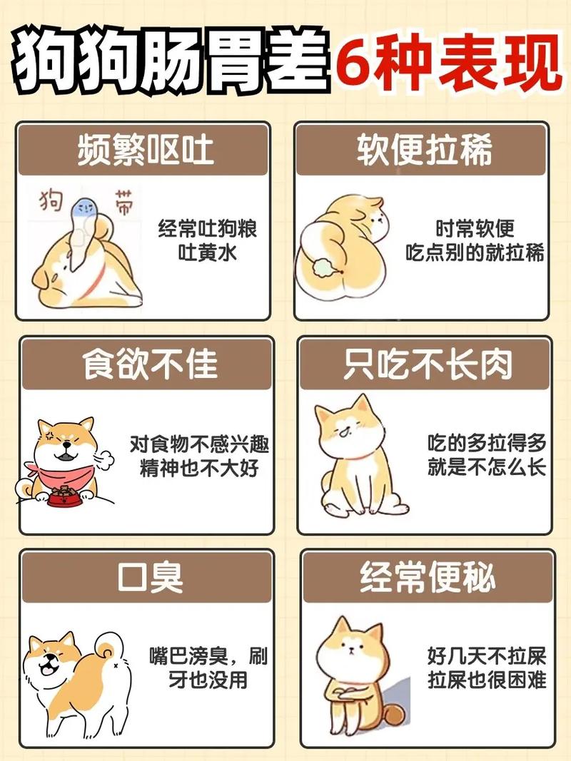 狗狗肠痉挛怎么缓解