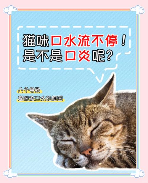 猫咪一直呕吐流口水流鼻涕没精神怎么办?